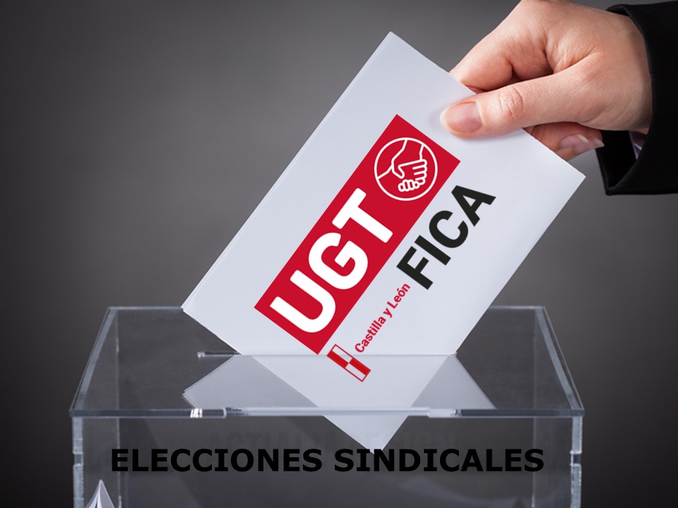 En el primer proceso electoral celebrado en la bodega Abadía Retuerta UGT FICA Valladolid gana las elecciones por mayoría absoluta